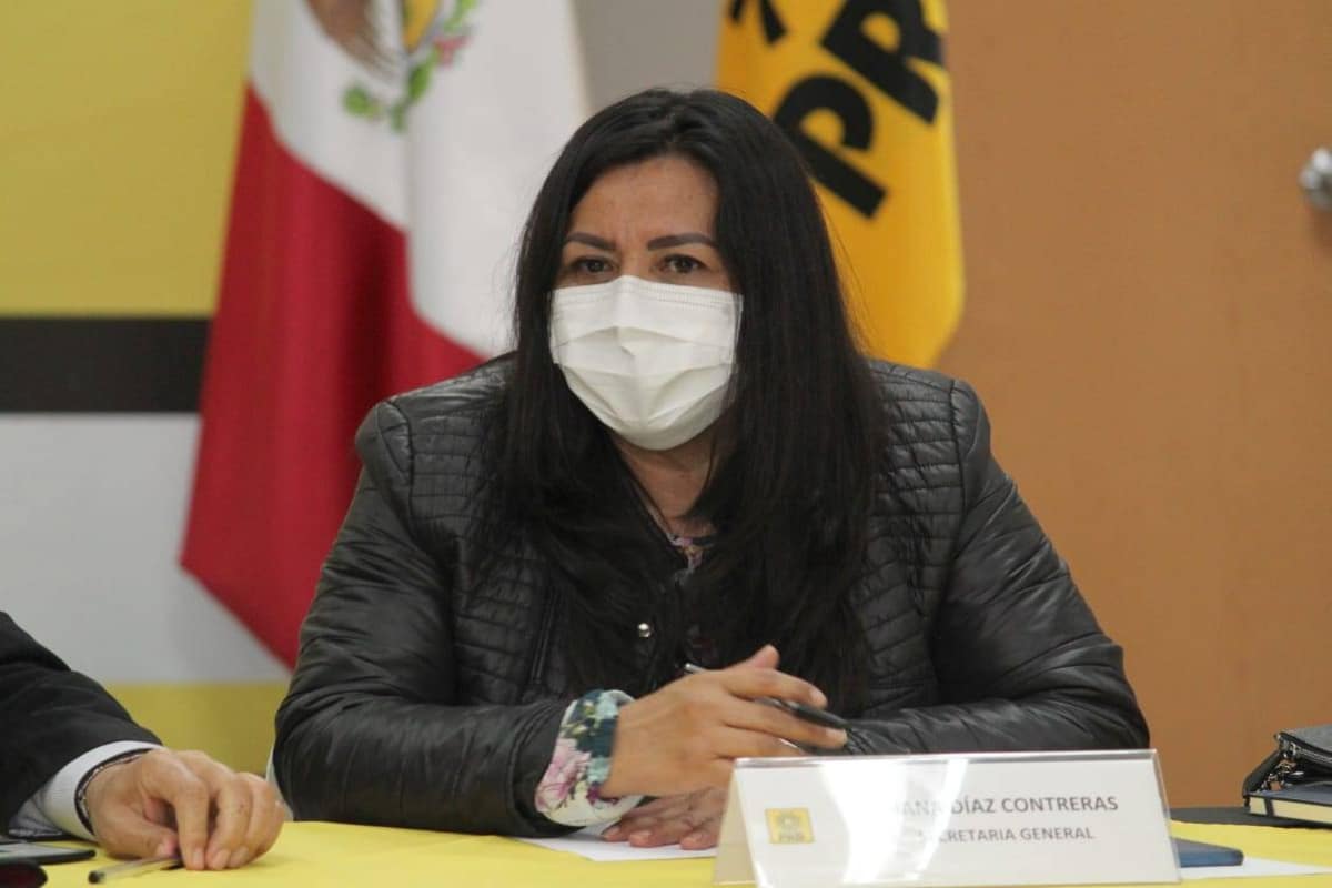 La secretaria general del Partido de la Revolución Democrática (PRD), Adriana Díaz, hizo un llamado a los Consejeros del Instituto Nacional Electoral (INE)