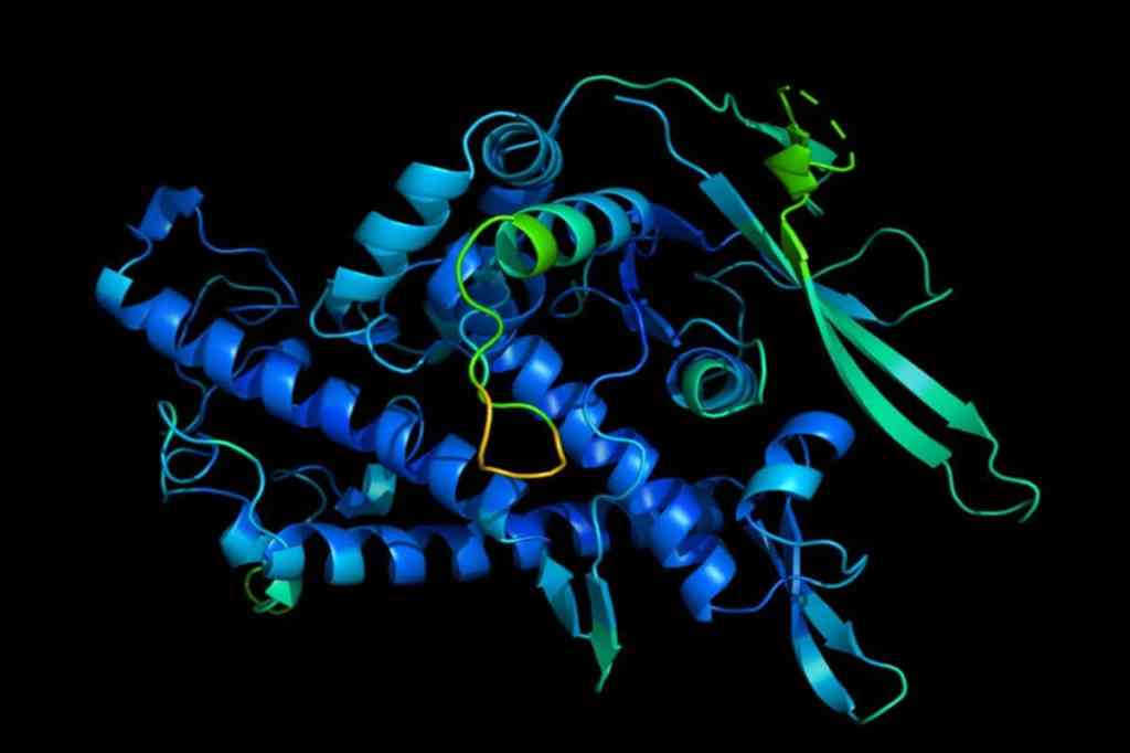 Una inteligencia artificial de la compañía de Google, DeepMind, logró resolver un enigma para la biología al determinar la forma en tercera dimensión (3D) de una proteína a partir de su secuencia de aminoácidos