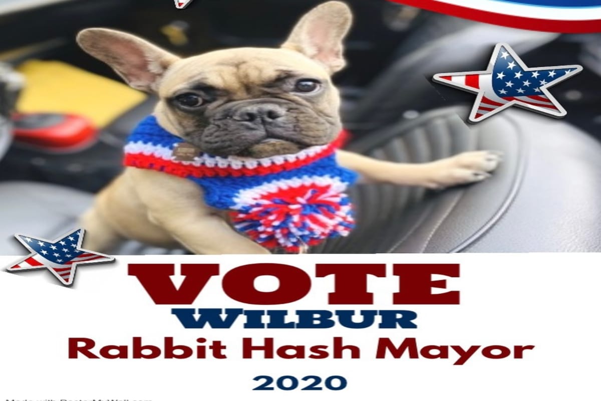 Wilbur ahora es el alcalde del pueblo Rabbit Hash