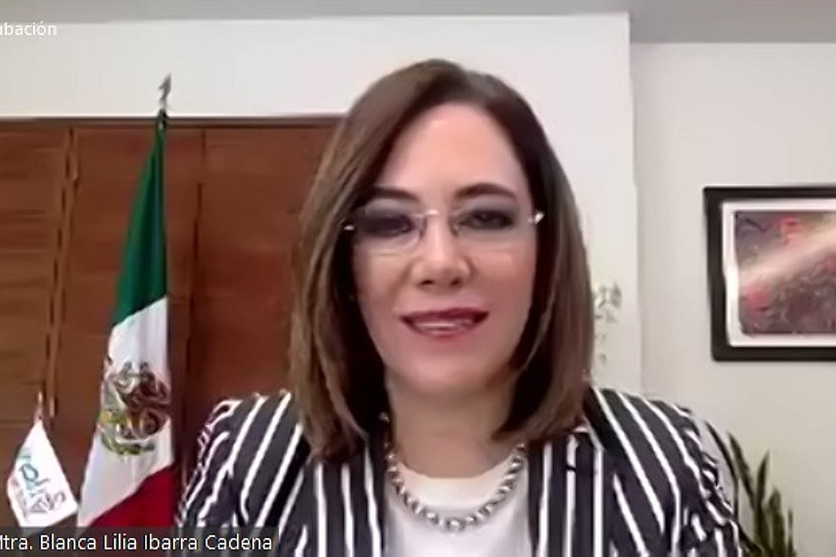 Blanca Lilia Ibarra Cadena, INAI