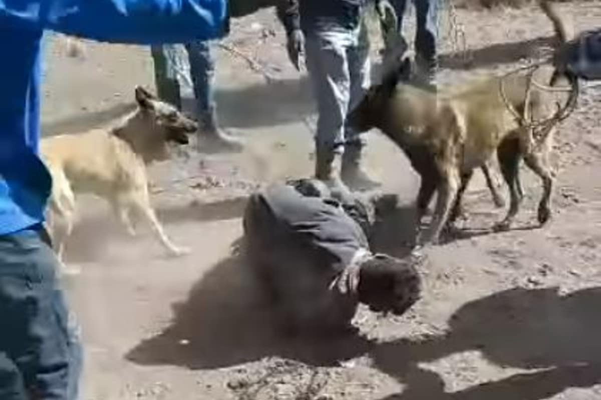 Detienen a presunto ladrón en Querétaro, lo golpean y le sueltan a los perros