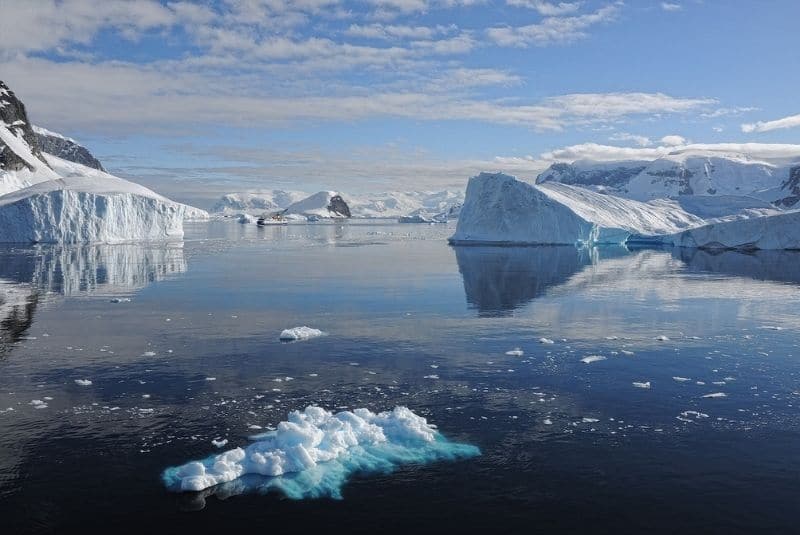 Científicos argentinos revelan efectos del cambio climático en fitoplancton antártico