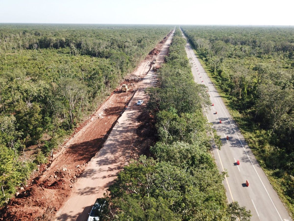 Conceden suspensión definitiva del Tren Maya en tres municipios de Yucatán