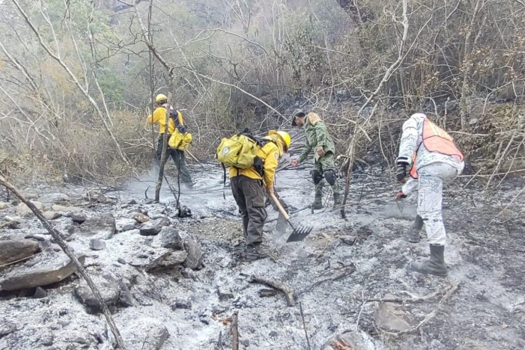 incendio forestal en Sierra de Santiago, Nuevo León