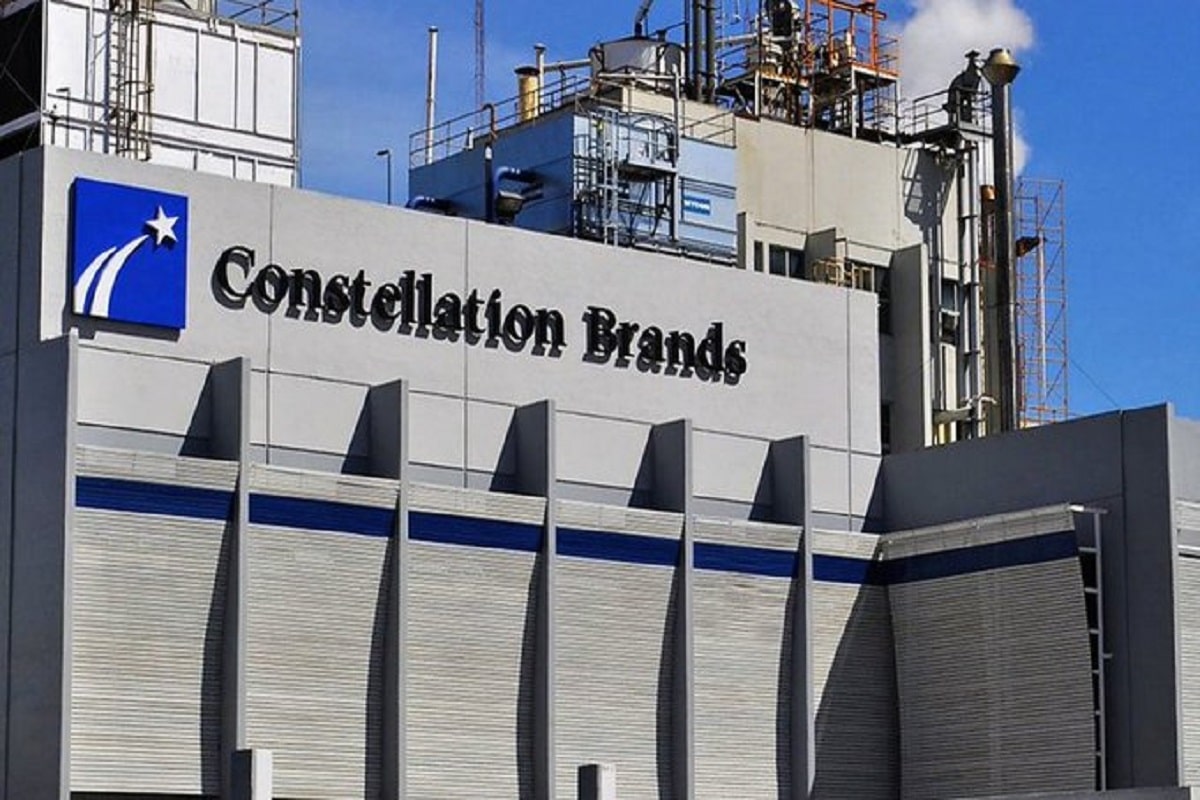 Foto: Archivo. Constellation Brands informó que busca construir una planta en Veracruz.