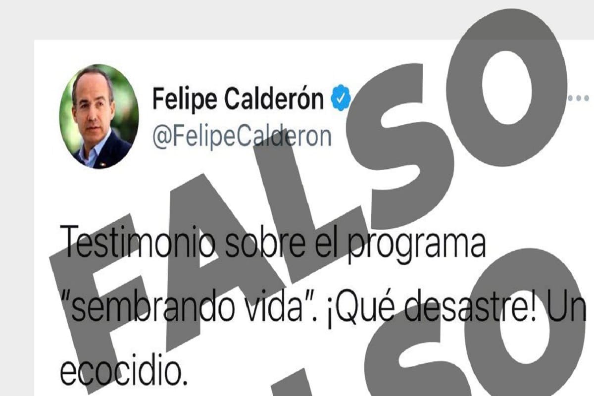 Javier May desmiente a Calderón por Sembrando Vida
