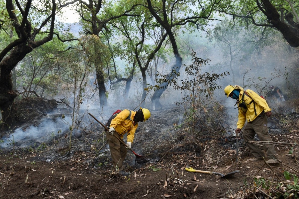 incendio forestal en El Tepozteco