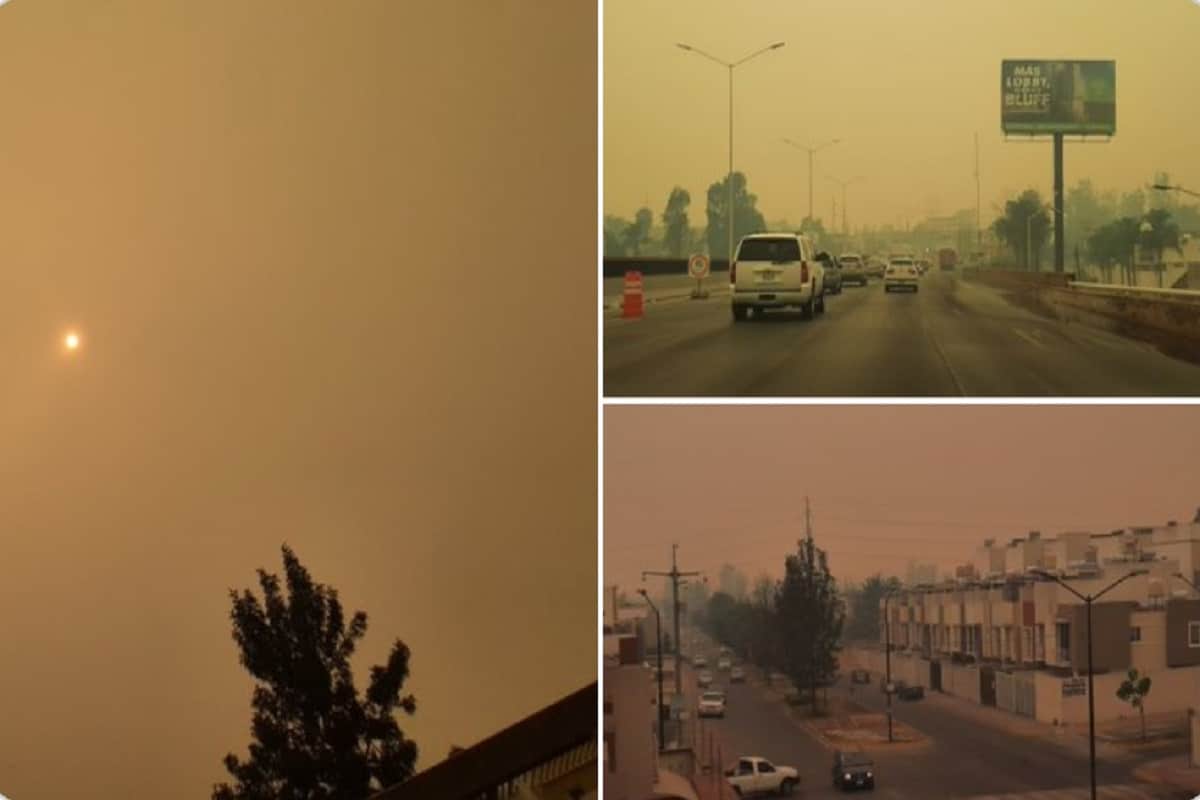 Incendio en Bosque de la Primavera ensombrece Guadalajara
