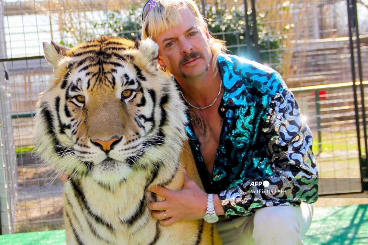 Tigres, Tiger King