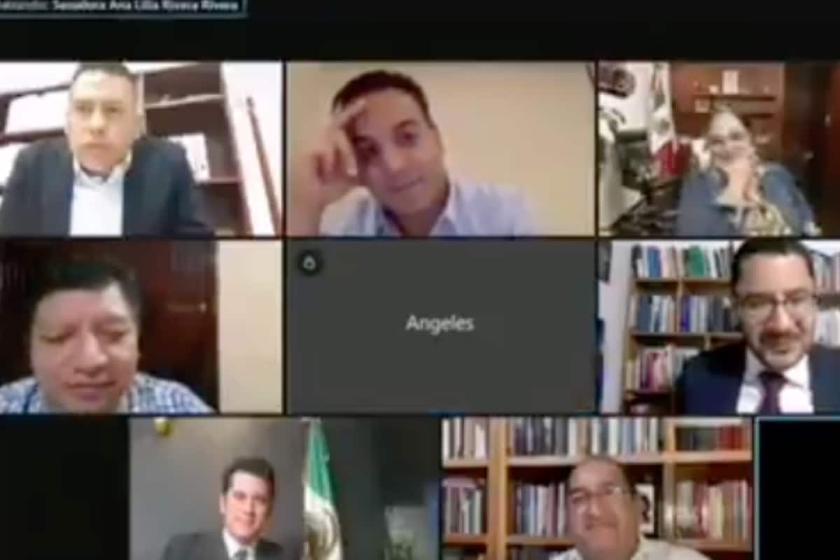 Ángeles Huerta durante sesión virtual