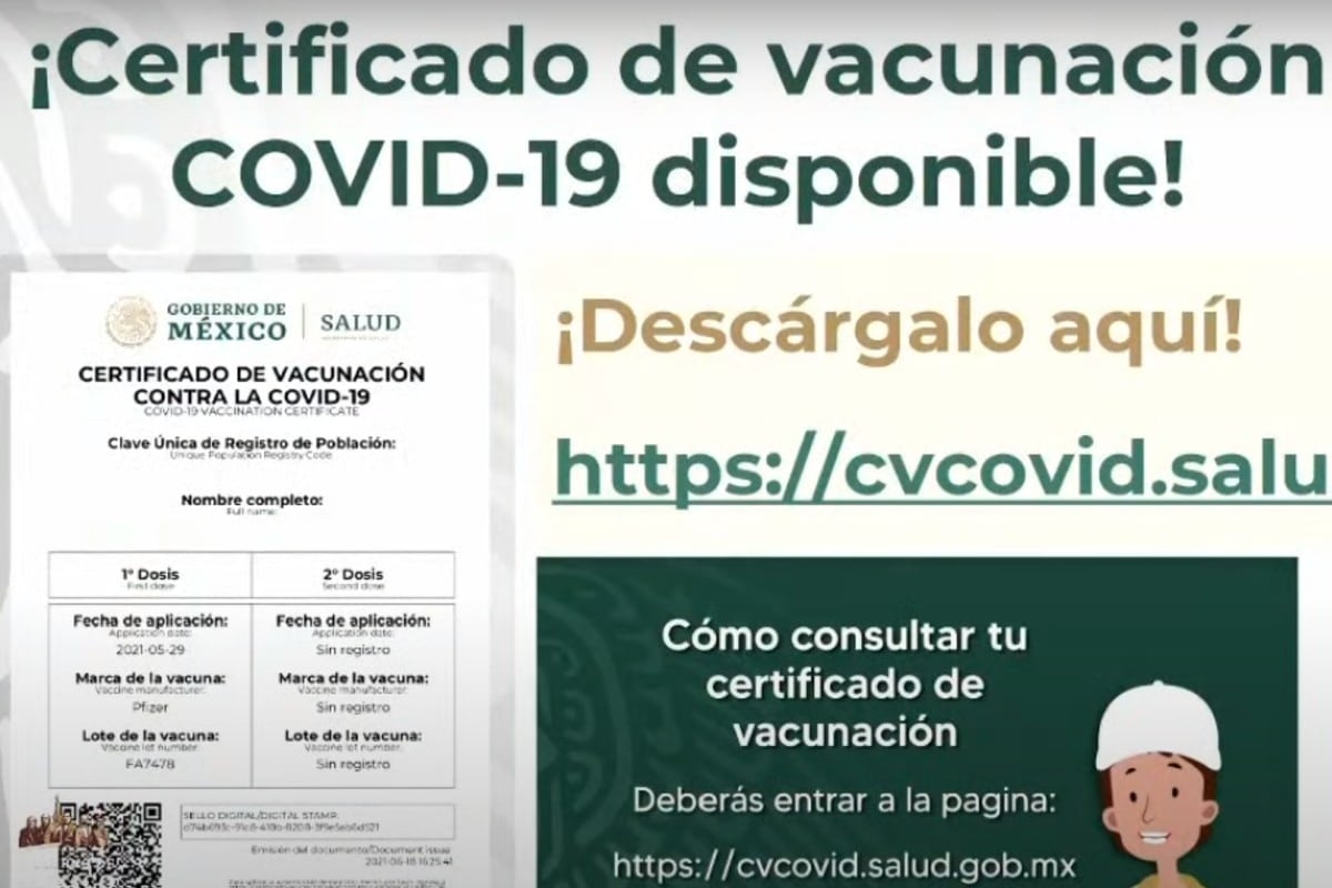 El certificado de vacunación Covid-19 facilitará el viaje a países con límites por la pandemia.