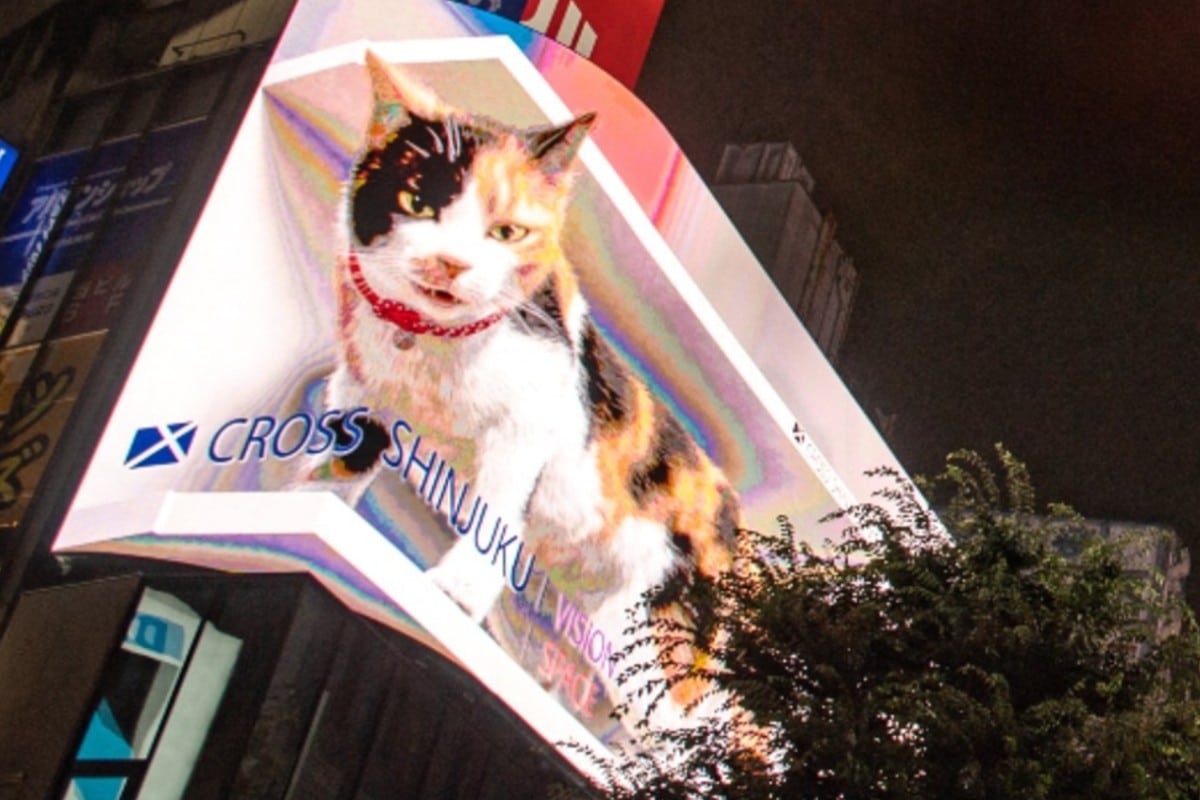 Gato en 3D aparece en Tokio