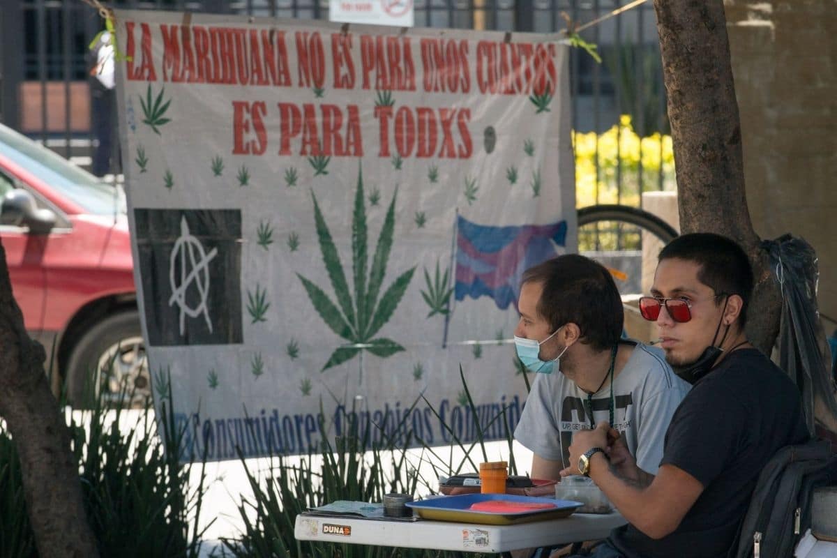 Casos de éxito de cannabis medicinal en el mundo guían exploración del mercado en México