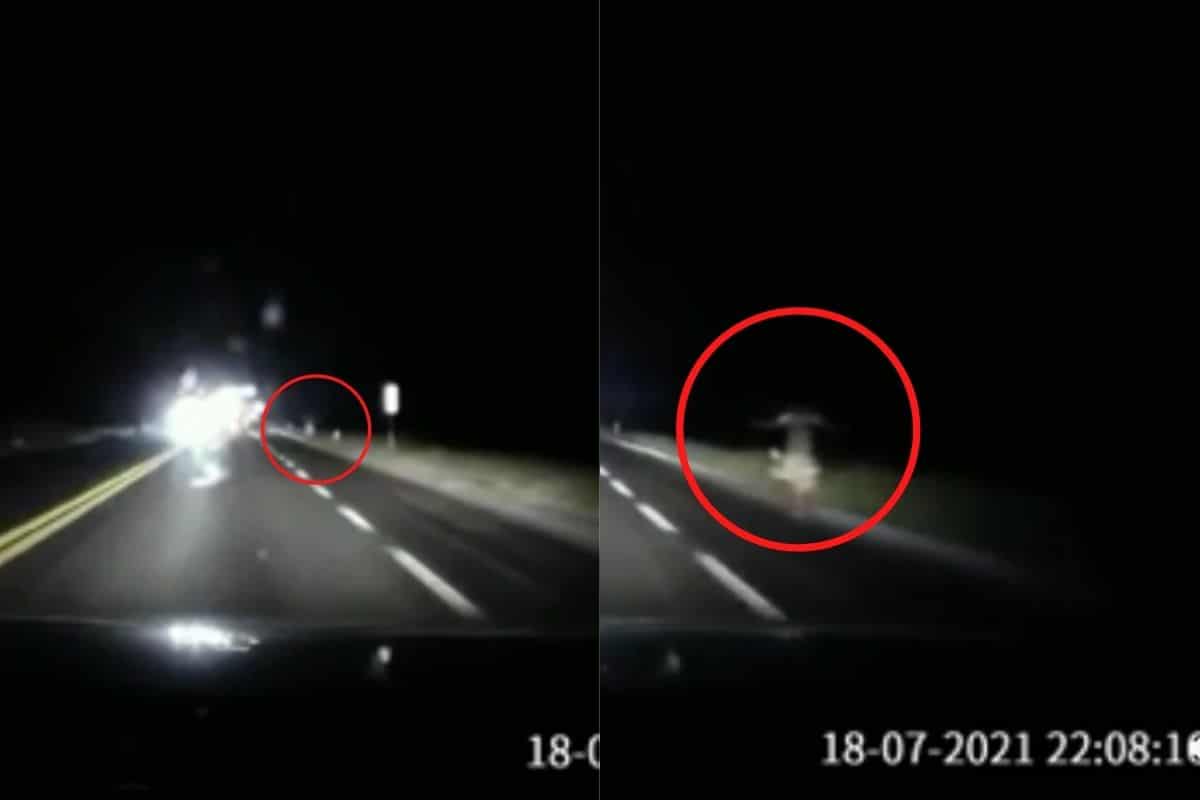 Video. ¡De terror! Captan supuesto fantasma en la carretera Torreón-Saltillo