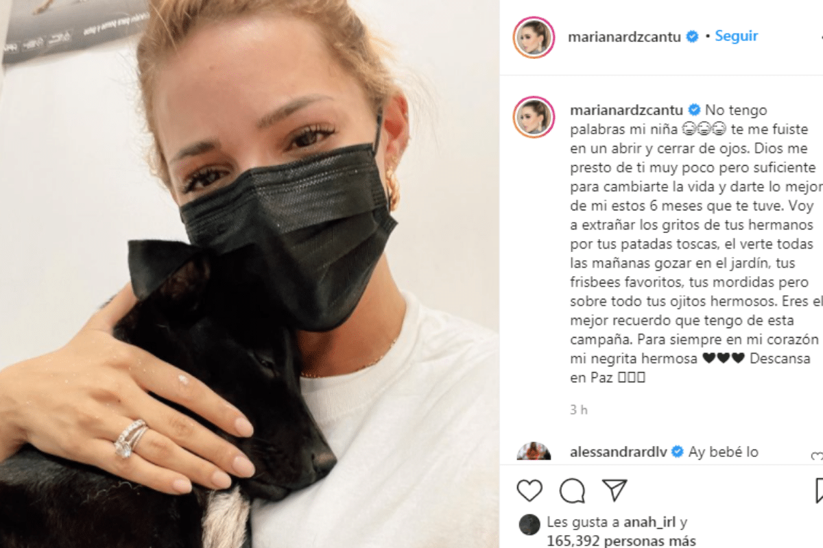 VIDEO: Así lloró la influencer Mariana Rodríguez la muerte de su perrito "Pantera"