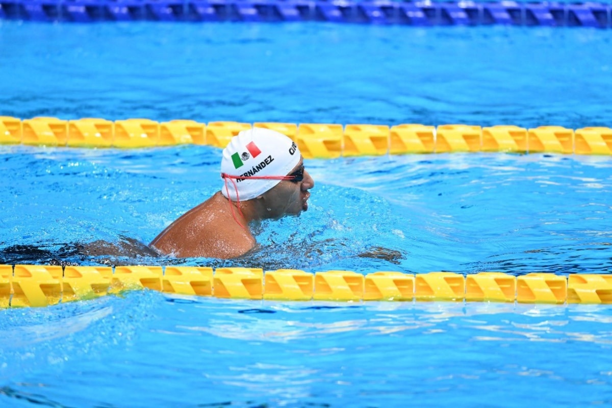 En los Juegos Paralímpicos de Río 2016 Jesús compitió en los 50 metros dorso categoría S4, donde logró la medalla de bronce