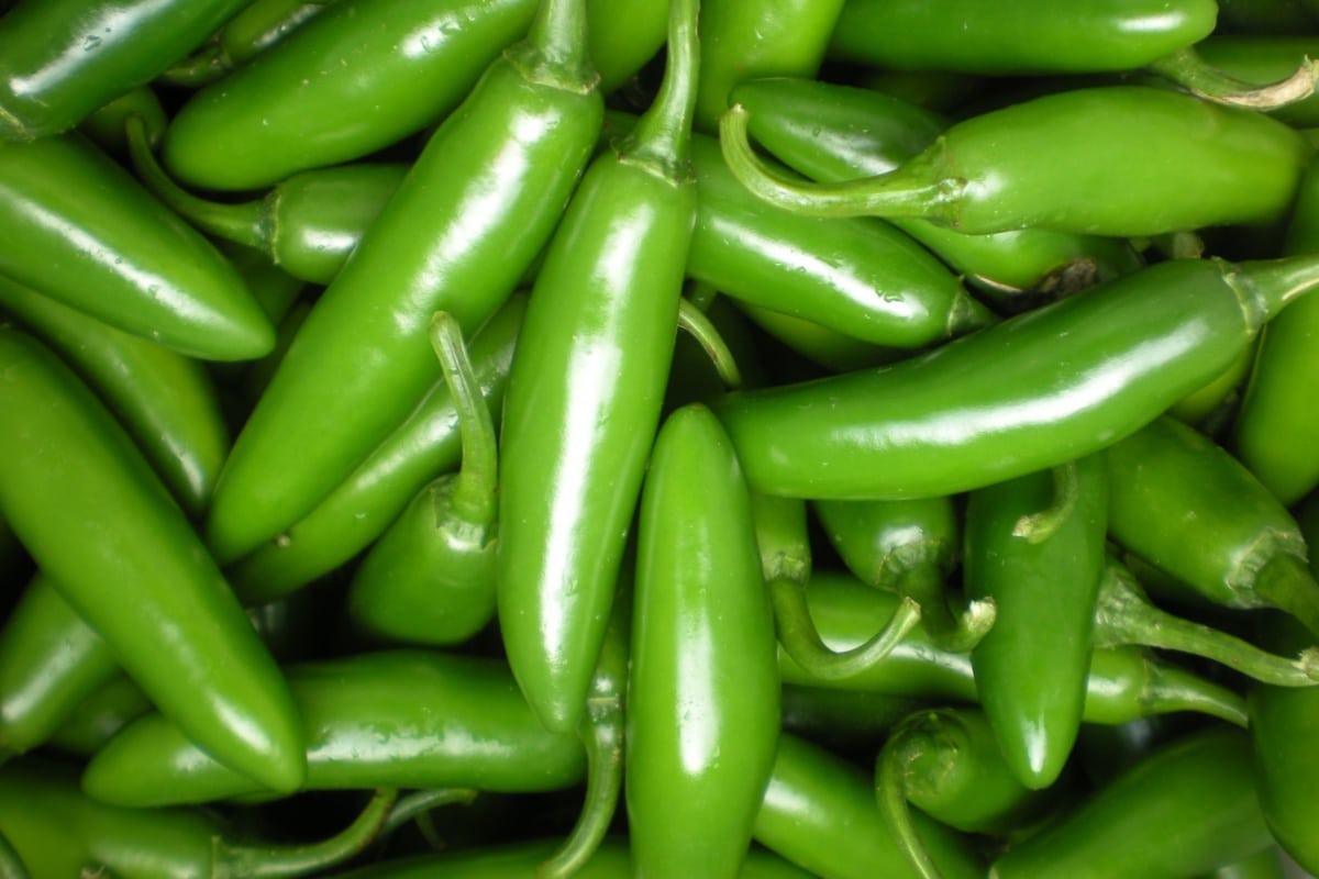 Crece demanda de chile verde en México