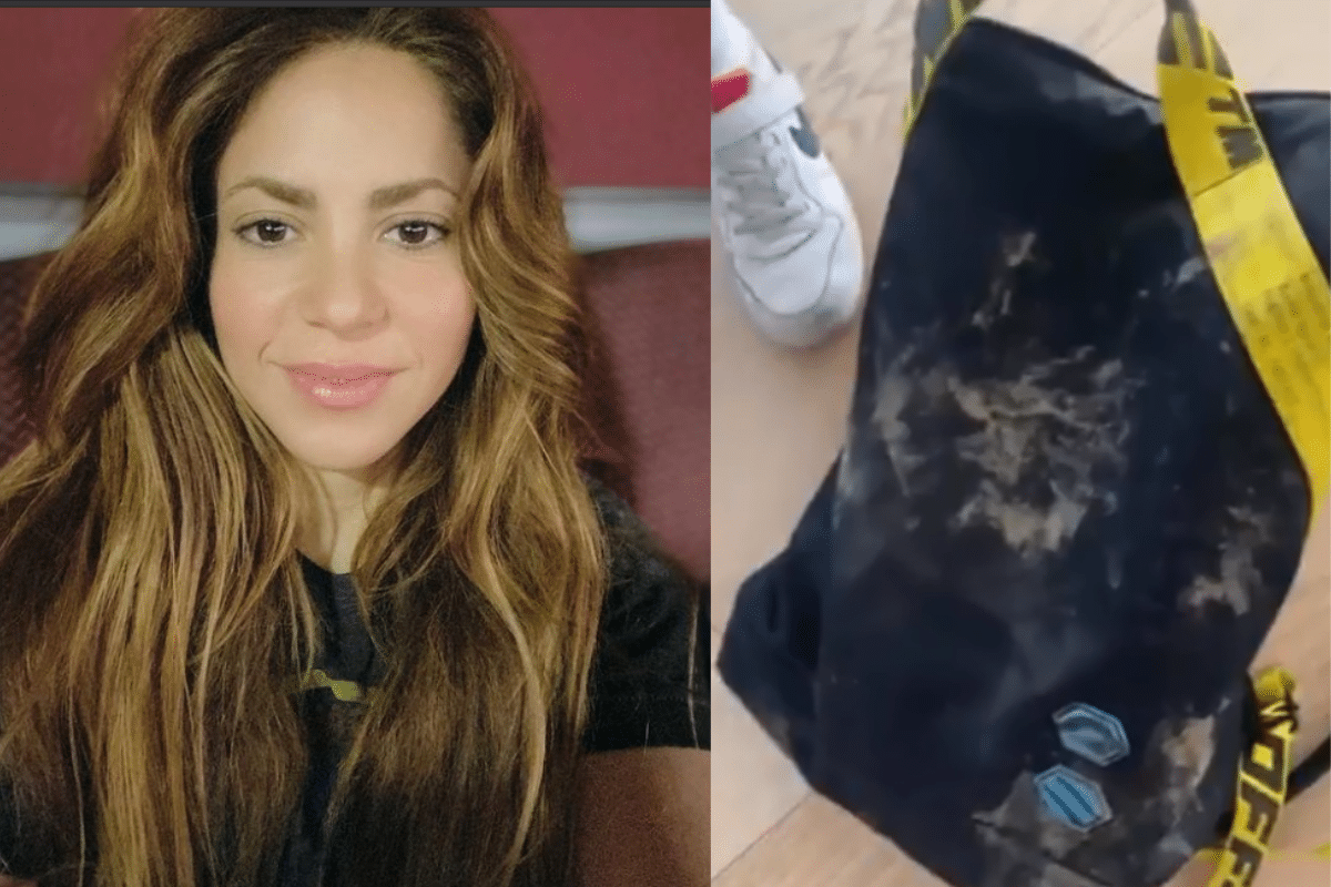 Shakira se enfrenta a jabalíes por su bolso