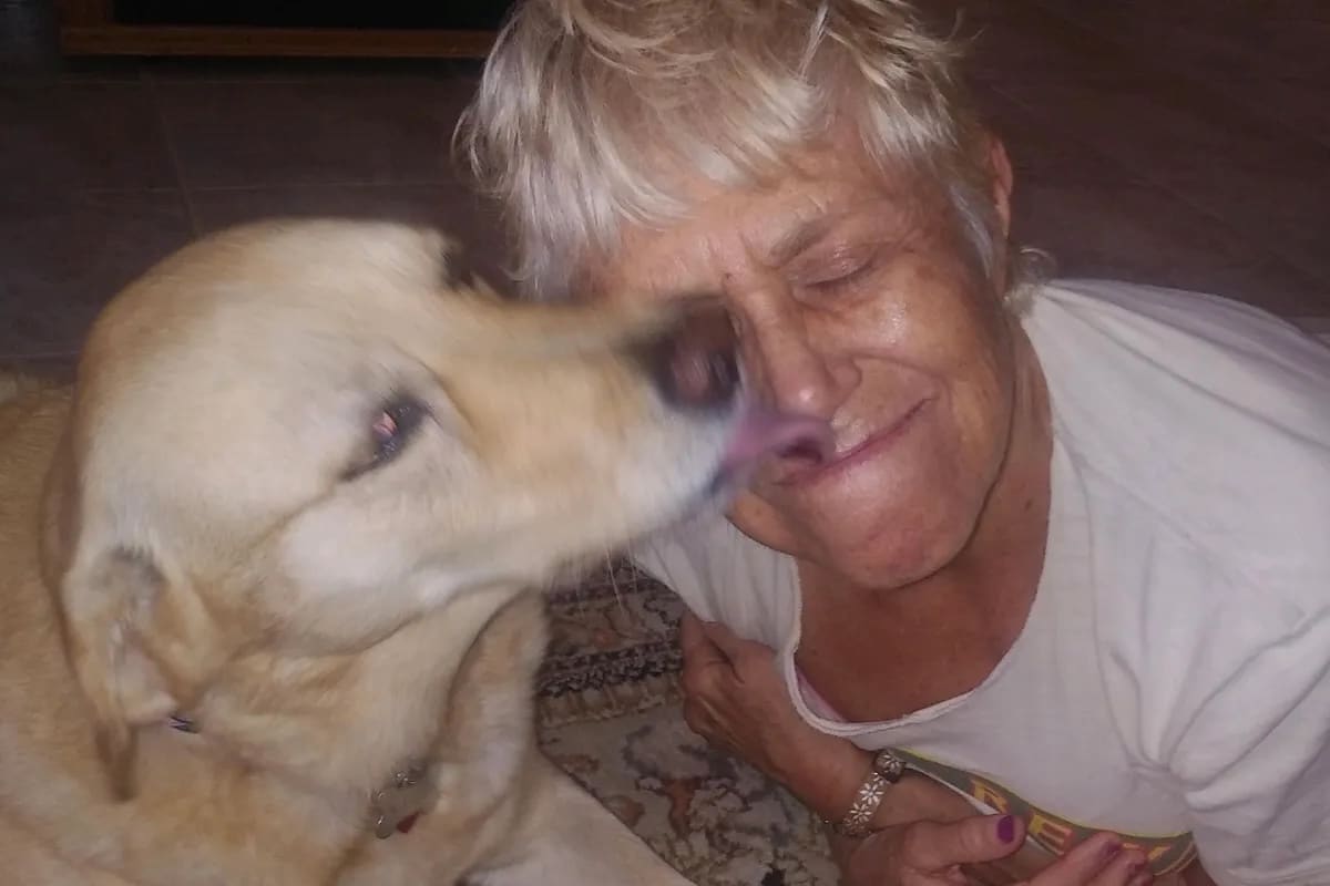 Mujer de 74 años salva a su perro saltando sobre un caimán