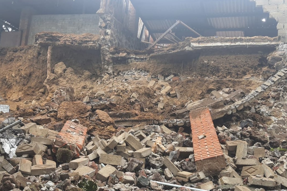 Al menos 4 perritos quedaron atrapados bajo los escombros de albergue en Xochimilco