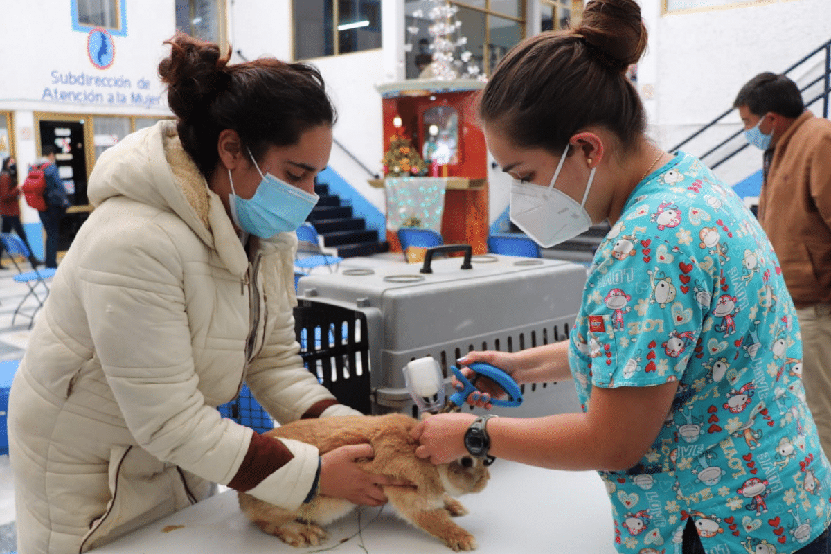 Realiza Huixqui jornada para vacunar animales