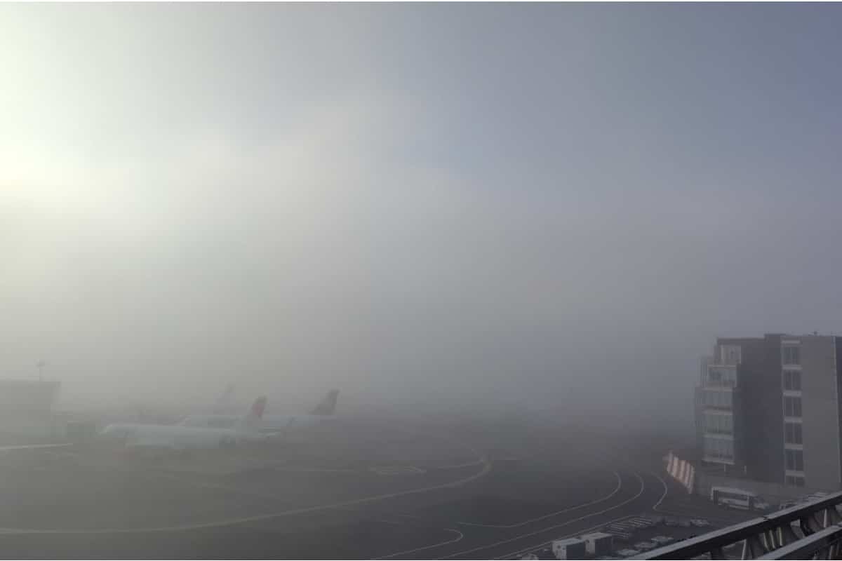 Foto: especial | La operación en los vuelos fue suspendida por segundo día consecutivo, debido a la presencia de niebla.