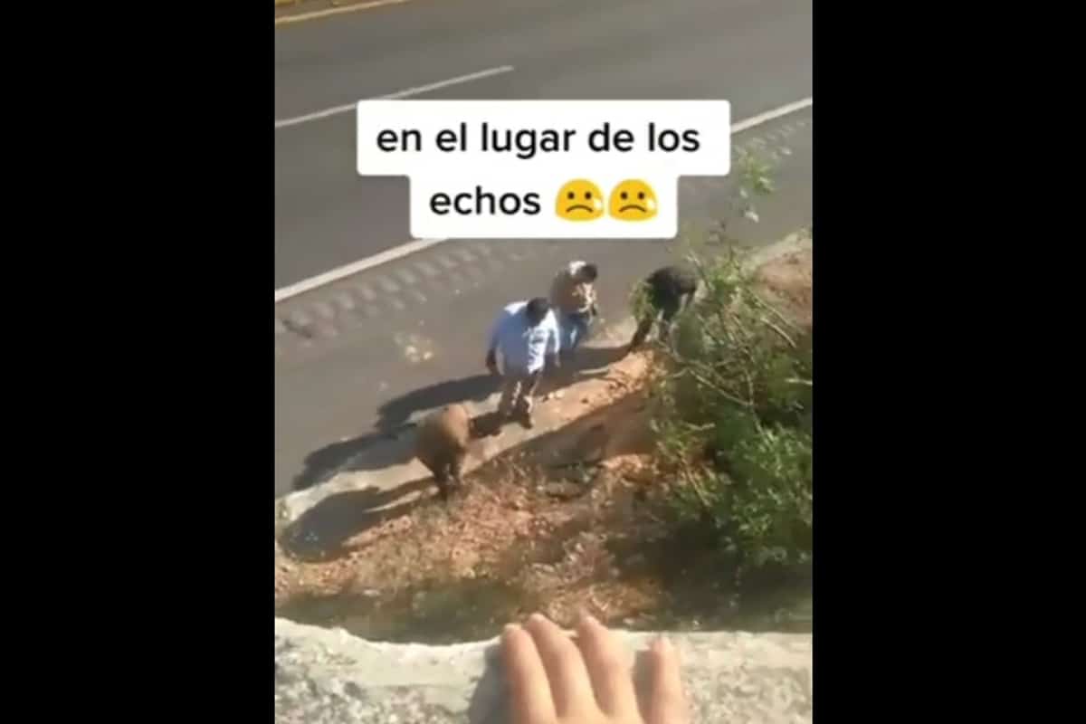 Foto: captura | En el clip se observa a un grupo de hombres quienes presuntamente acudieron al lugar donde chocó Octavio Ocaña.