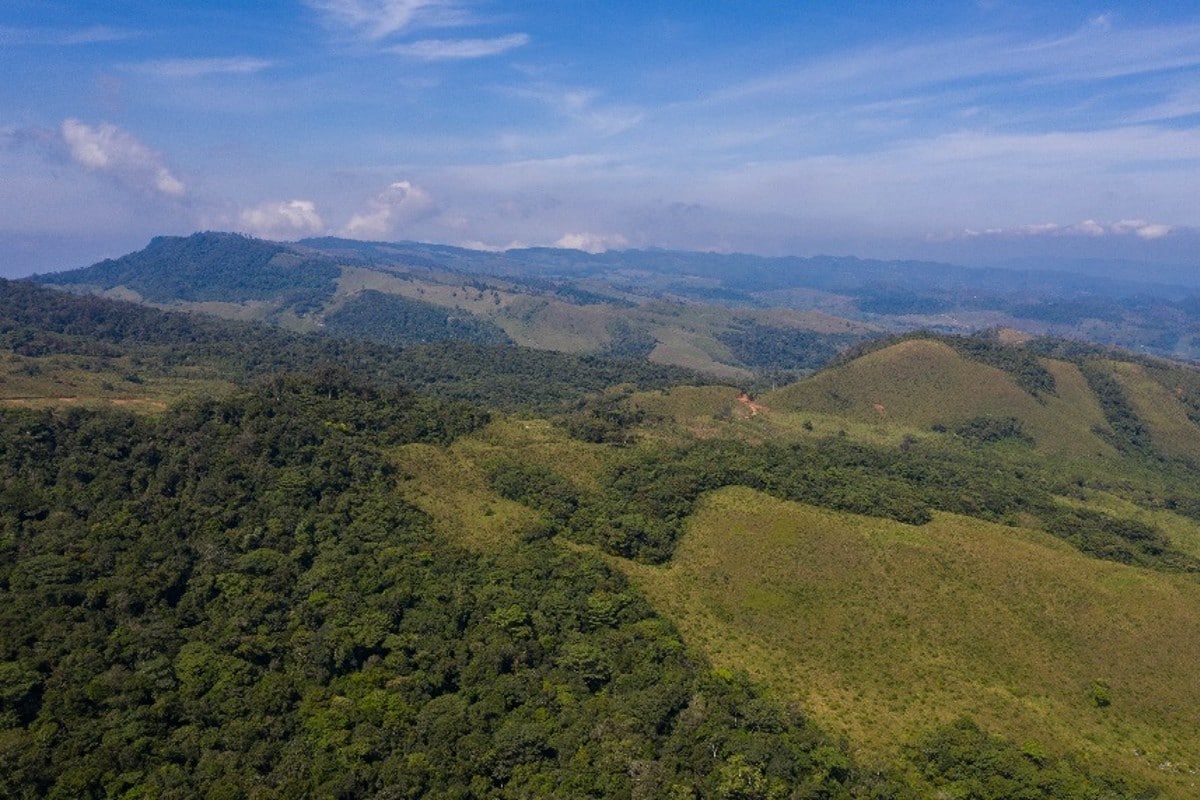 La selva de Chimalapas es de Oaxaca, determina la SCJN