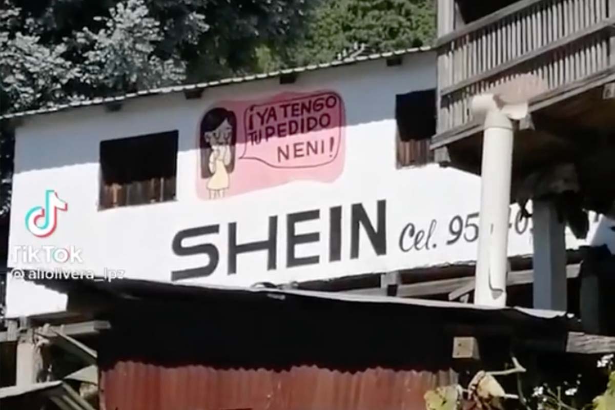 Sin miedo al éxito. “Arrasa” tienda Shein en Oaxaca 