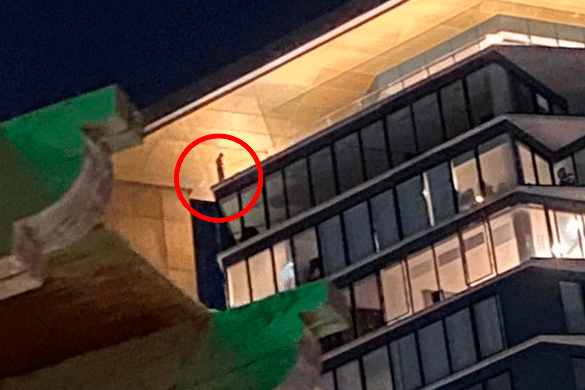 Hombre se lanza desde último piso de un edificio   