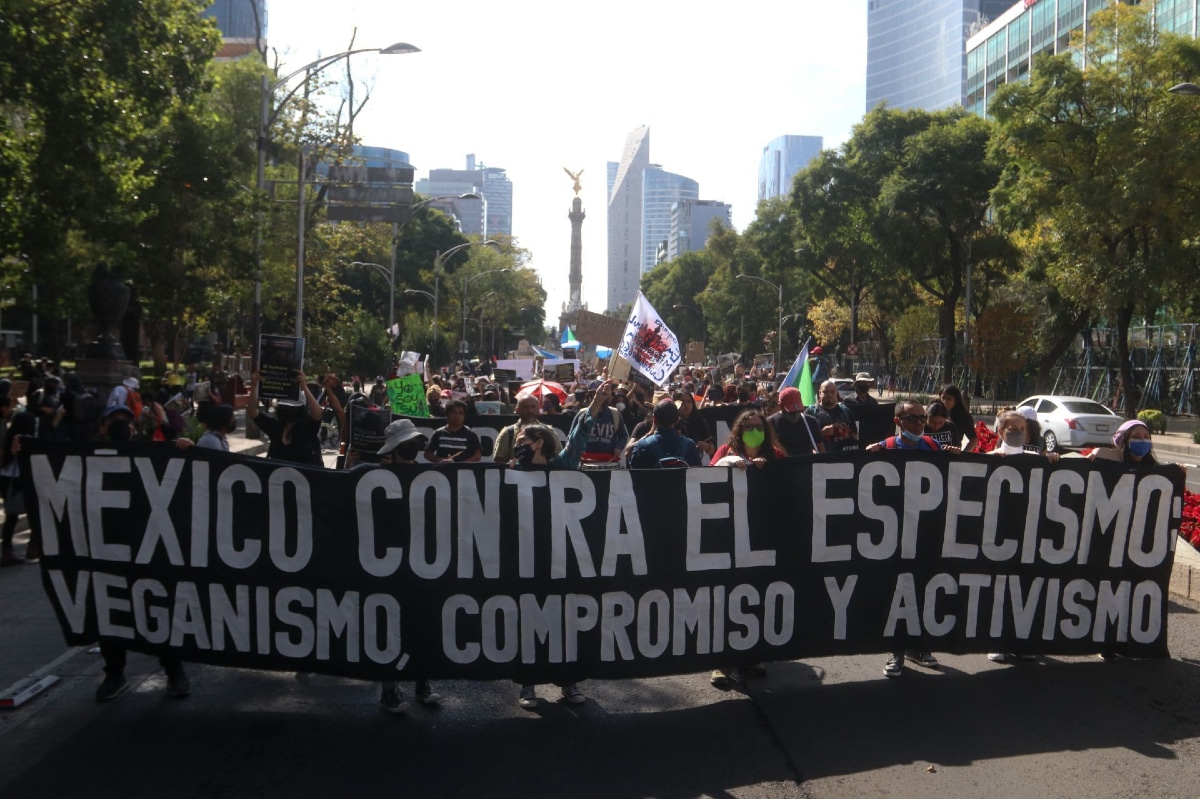 Foto: Cuartoscuro | Este 15 de noviembre se esperan al menos dos marchas y tres concentraciones en la Ciudad de México.