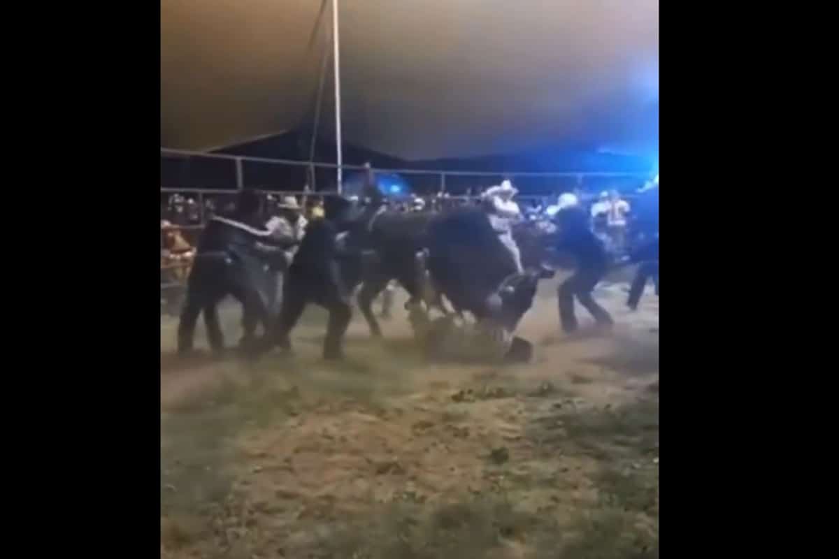 Foto: captura | En redes se difundió un video en el que se observa al jinete siendo arrastrado por el toro en un jaripeo.