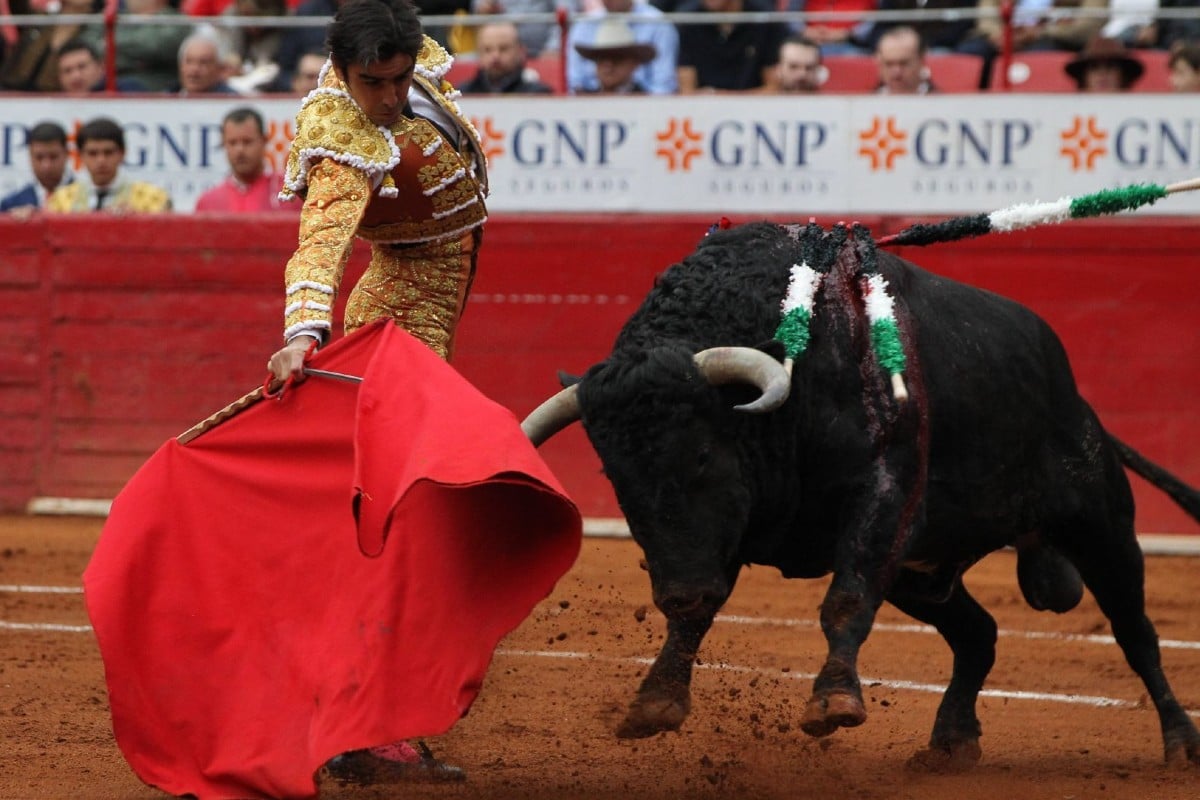 Congreso capitalino impulsa prohibir las corridas de toros