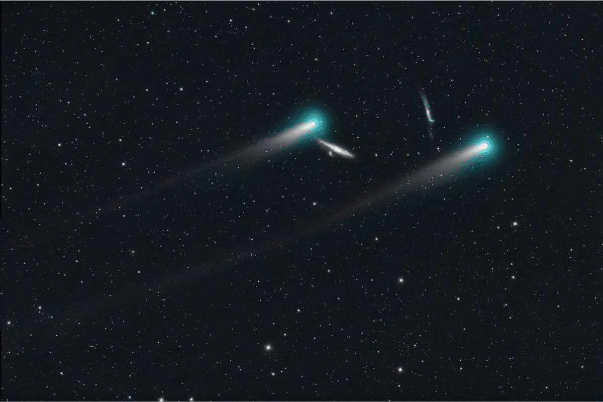 Foto: Twitter@Komet123Jager | El cometa Leonard viaja a una velocidad de 70 km/s