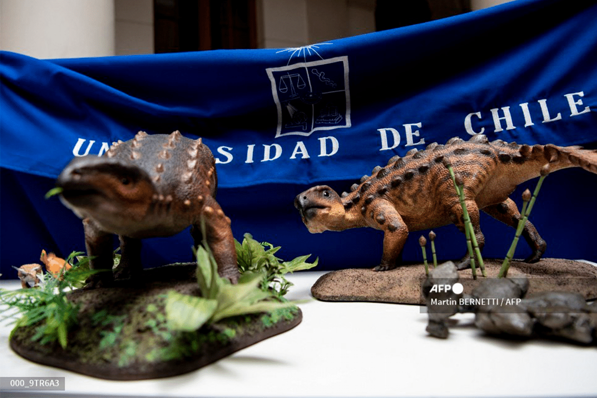 "Stegouros", el dinosaurio descubierto con una cola que desconcierta a científicos