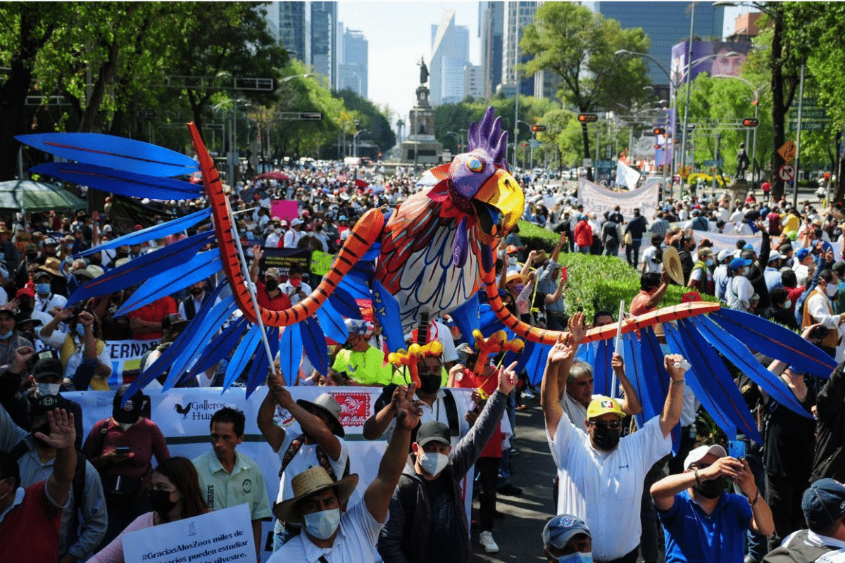 Foto: Cuartoscuro | Marchas y movilizaciones para el 2 de diciembre