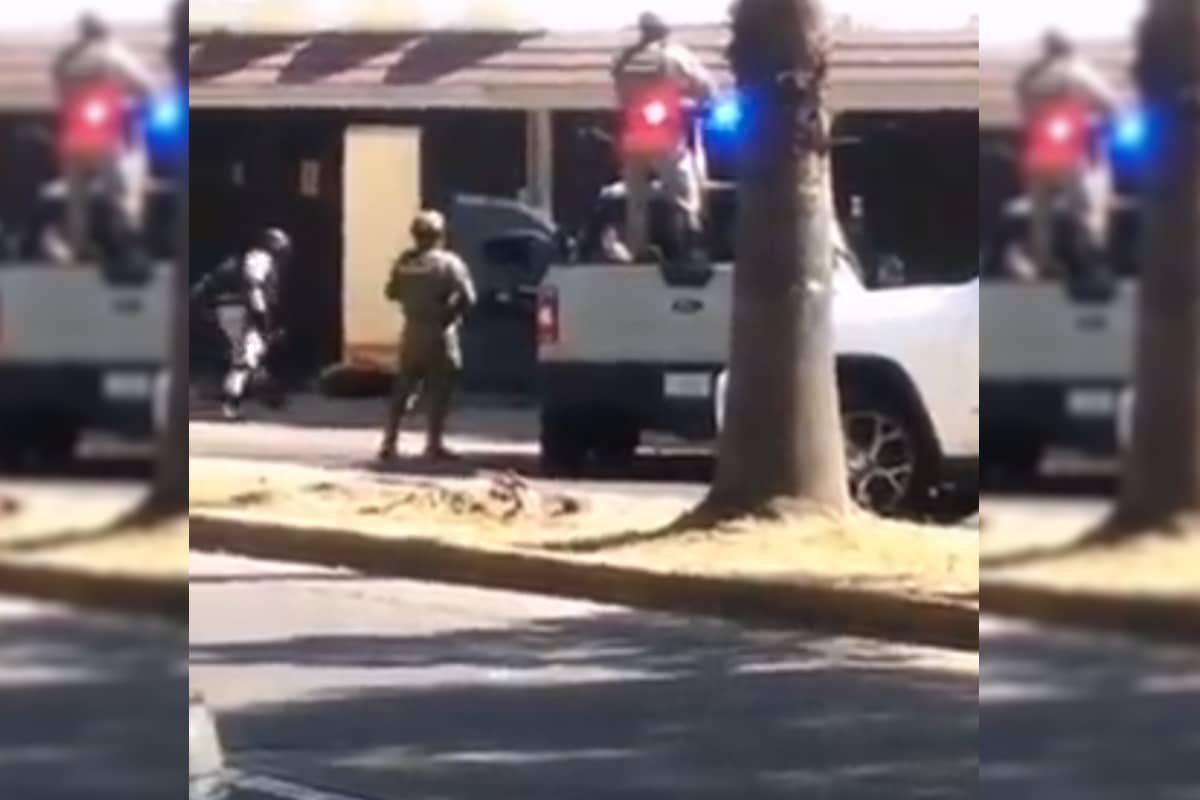 Video: Fuerzas federales implementan operativo en Guadalajara, Jalisco. Noticias en tiempo real