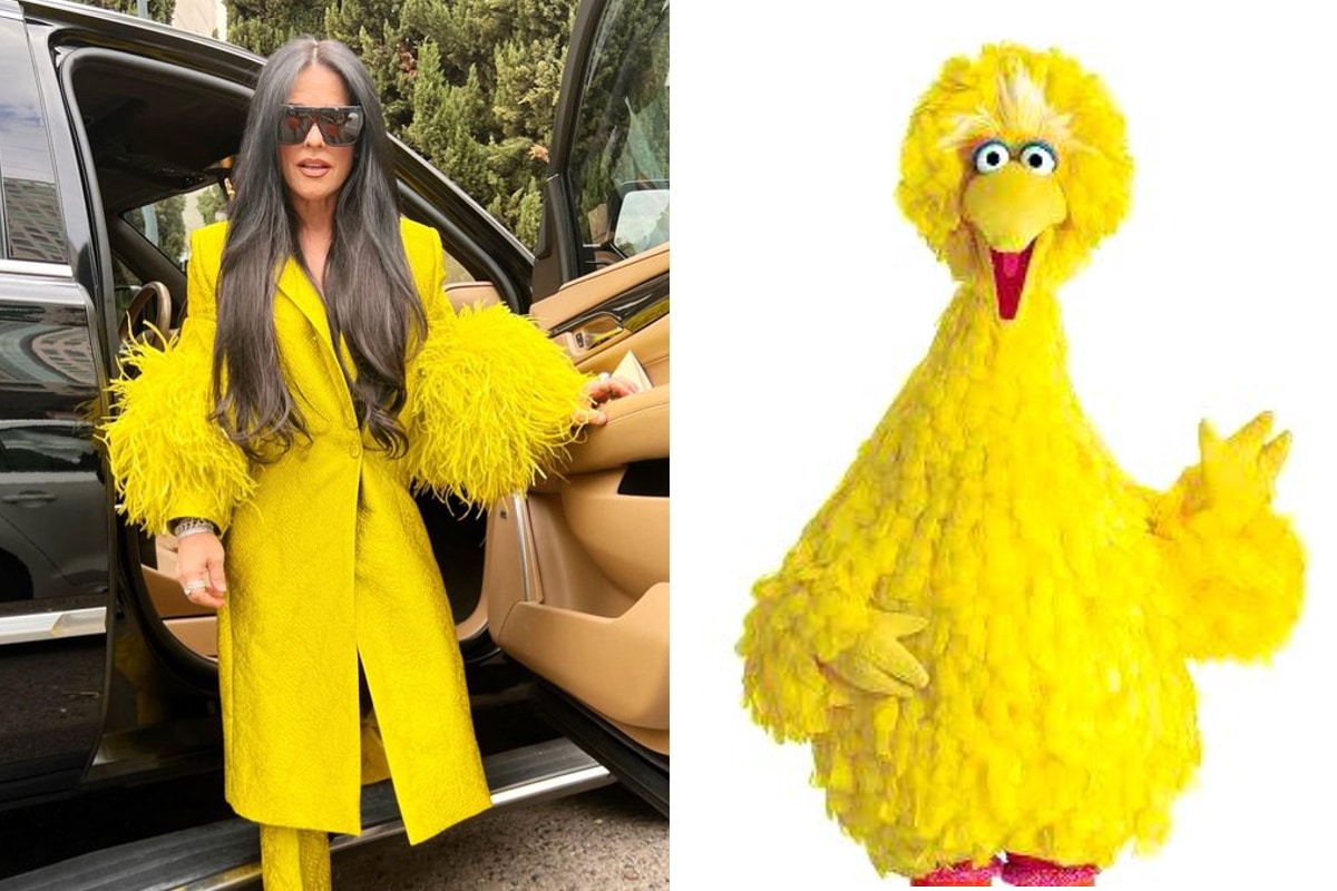 Foto: redes | Internautas compararon el abrigo de Martha Debayle con 'Big Bird', de Plaza Sésamo.