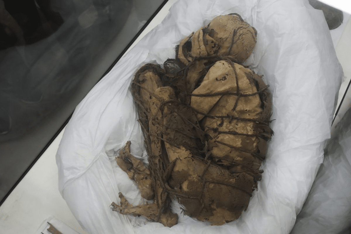 Foto:@DailyStar | Una momia de mil años ha sido descubierta en una misteriosa tumba subterránea en Perú