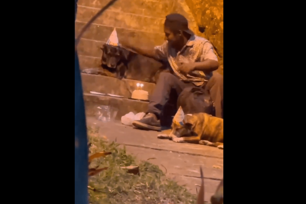 Foto: Instagram / @roteloperiodismo | VIDEO: Hombre en situación de calle celebra el cumpleaños de sus perritos