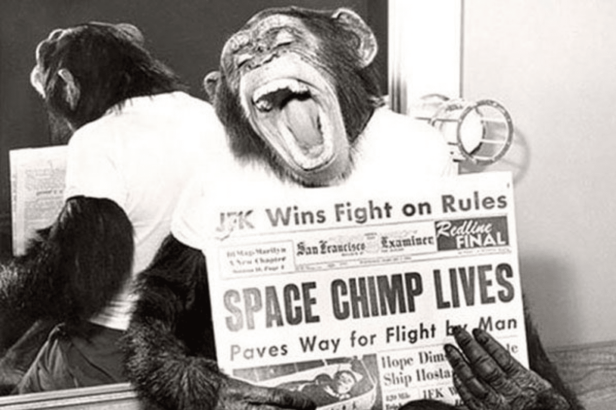 Foto: Twitter/ @relatandohisto1 | 61 años atrás se envió el primer chimpancé al espacio