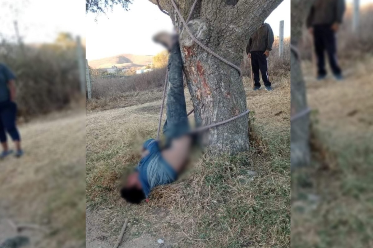 Foto: redes | El presunto ladrón fue atado de manos y pies en un árbol.