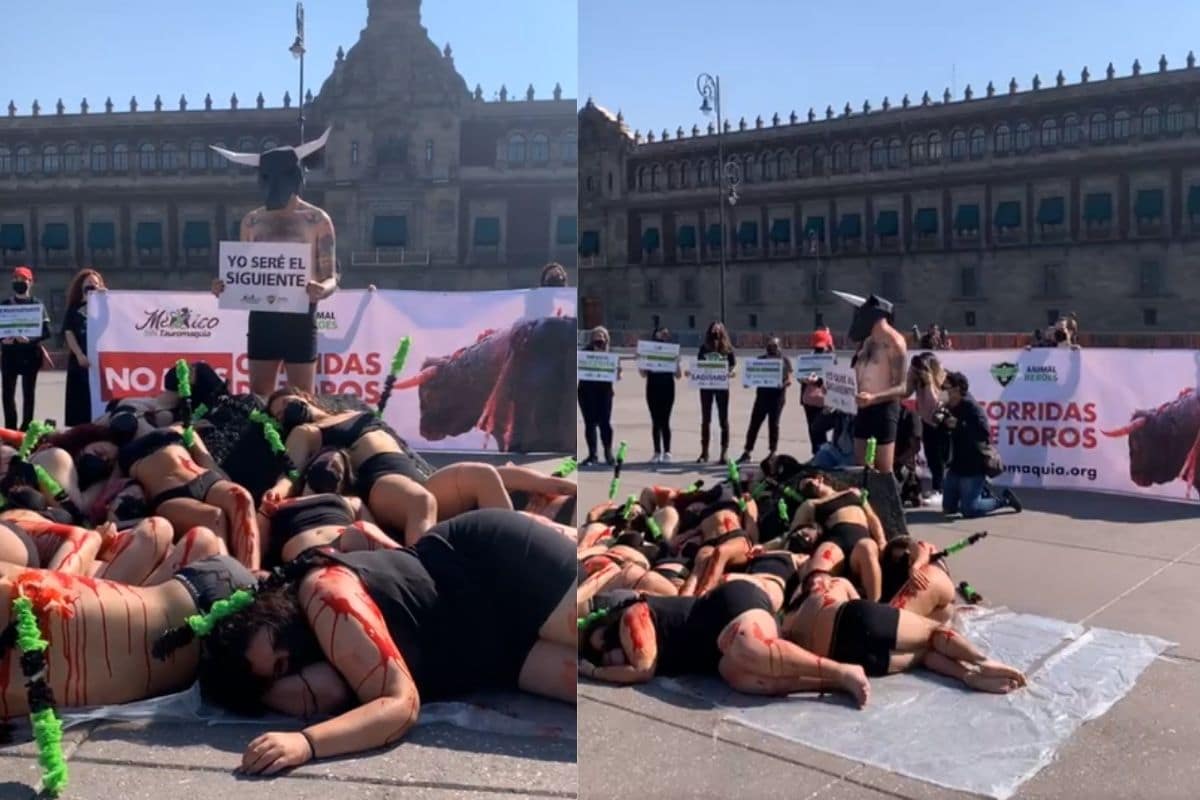Activistas protestan en el Zócalo en contra de la tauromaquia en México
