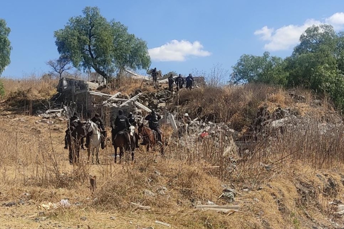 Sedema recupera suelo de conservación en Tláhuac