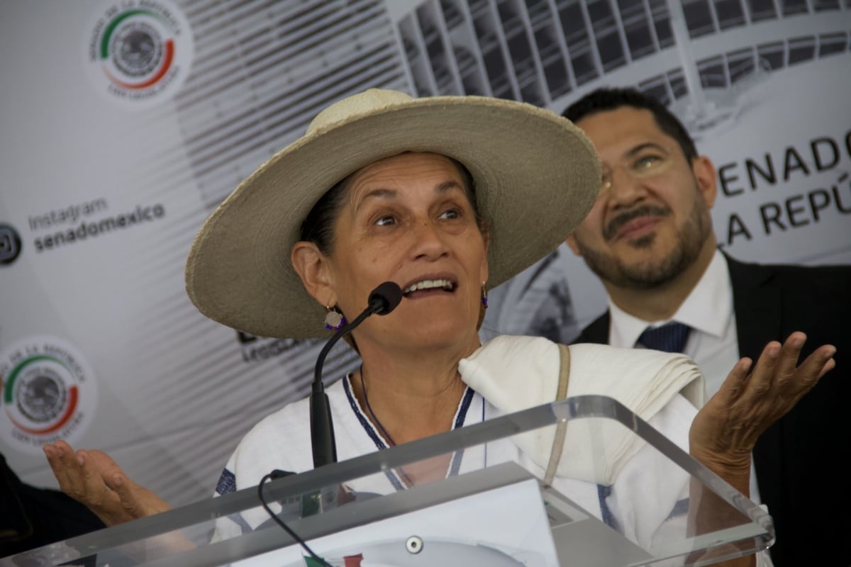 El canciller informó que Panamá aceptó como embajadora a Jesusa Rodríguez.