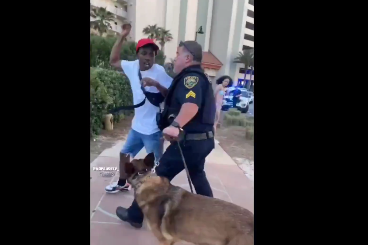 Foto: Twitter/ @NoPauseTv | VIDEO: Oficial taclea a joven; perro policía lo defiende