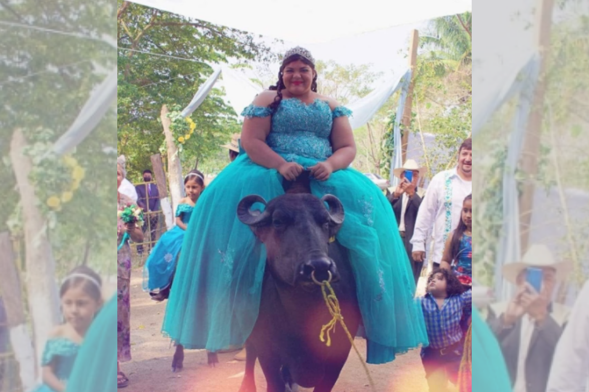 Foto: Facebook/ Jeremi Radames | ¡Qué corcel! Quinceañera hace su gran entrada a su fiesta en un búfalo 