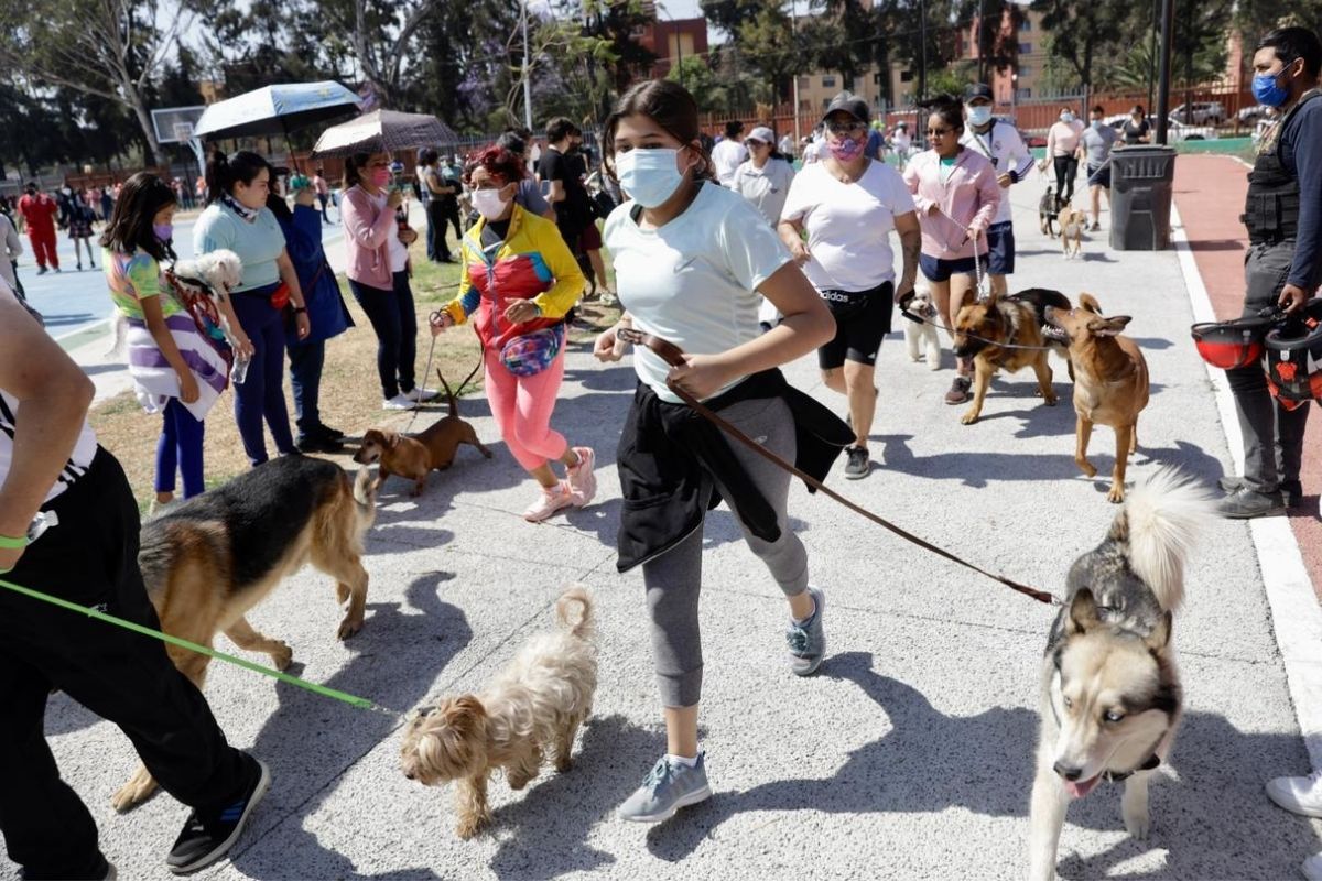 Foto:Cortesía|Maratón canino en Coyoacán reúne a más de dos mil participantes
