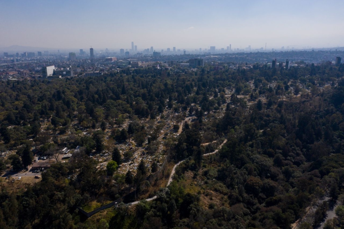 Por daño ambiental, vecinos buscan parar obras del Cablebus en el Bosque de Chapultepec