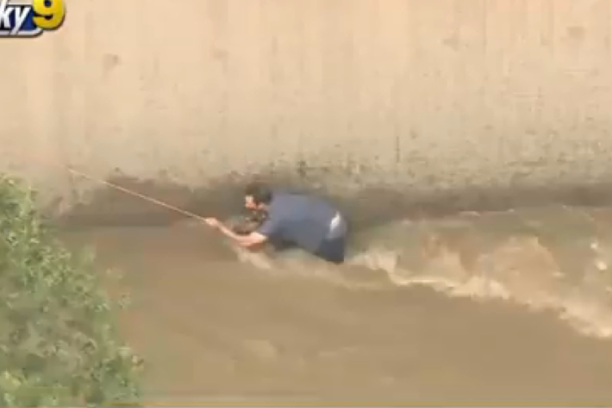Un hombre se arrojó al río para poner a salvo al perrito.